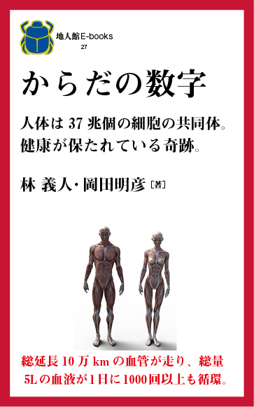 からだの数字